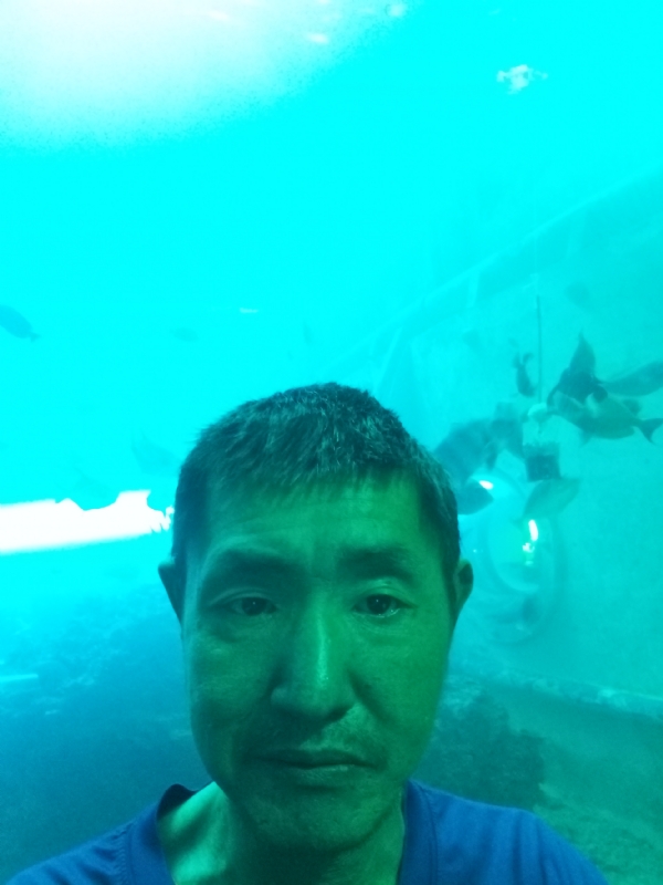 陸戰隊的第一张照片--南平相亲服务中心