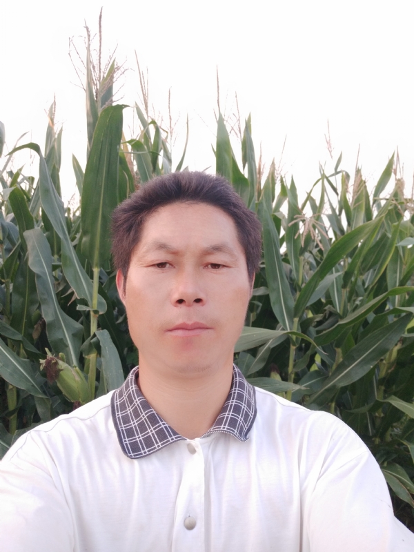 四海游龙的第一张照片--南平相亲服务中心