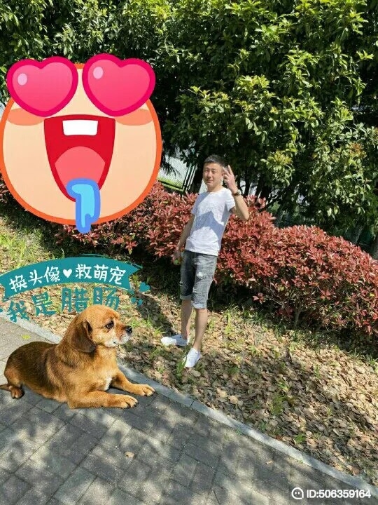 我若不坚强谁替我勇敢的第一张照片--南平相亲服务中心
